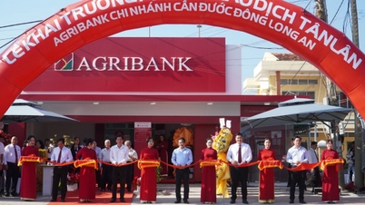 La sucursal de Agribank Dong Long An inaugura la oficina de transacciones de Tan Lan.