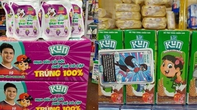Lof International Dairy finalise la liste des actionnaires pour le versement d'un dividende intérimaire en espèces de 25 %.