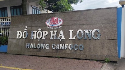 ¿Quién posee acciones de Ha Long Canned Food Company?