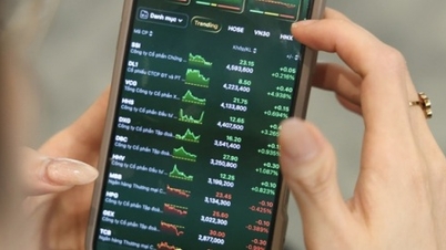 HOSE aracı kurum pazar payı 2025'in 4. çeyreğinde: Önde gelen grup aradaki farkı kapatıyor, VPBankS öne çıkıyor.