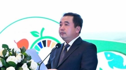 PHANO, Rikolto tham gia Nhóm Đối tác Chuyển đổi hệ thống lương thực thực phẩm