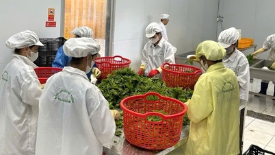 Aumentar a qualidade do produto através da "alavancagem".