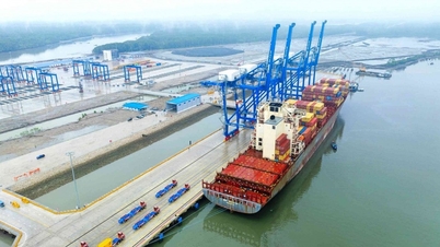 Phuoc An seaport, with an investment of over 20 trillion VND, is piloting the reception of international passenger ships.