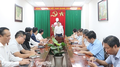 동나이성과 호치민시를 연결하는 깟라이대교와 롱흥대교의 착공식이 1월 15일에 열렸습니다.
