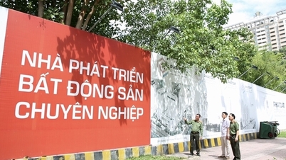 La ville d'Hô Chi Minh-Ville examine des terrains vacants de premier choix pour y aménager des parcs et des jardins fleuris à l'occasion du Têt (Nouvel An lunaire).