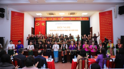 Conservarea și promovarea valorilor culturale ale grupurilor etnice vietnameze în noul context.