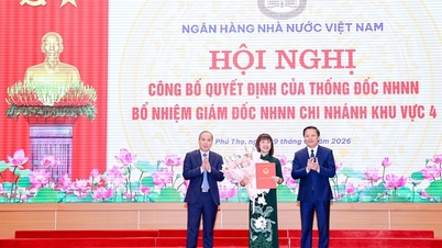 쯔엉 투 호아 씨가 베트남 중앙은행 제4지역본부장으로 임명되었습니다.