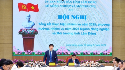 람동성의 농업 및 환경 분야는 2025년에 두각을 나타낼 것입니다.