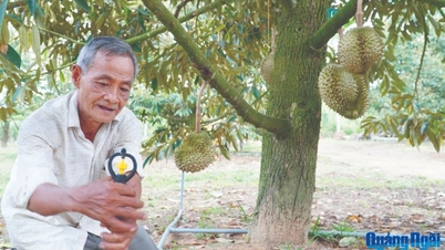 Quảng Ngãi từng bước hình thành xã nông thôn số