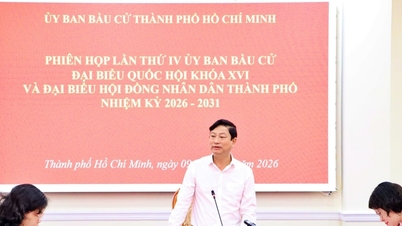 Bandar Raya Ho Chi Minh: Pilihan raya awal dijangka diadakan di 4 daerah.