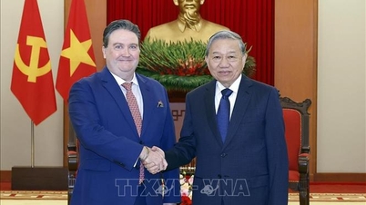 Le secrétaire général To Lam reçoit l'ambassadeur des États-Unis au Vietnam pour une visite d'adieu.