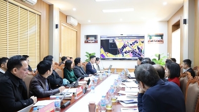 Tam Hung نے اولمپک کھیلوں کے اربن ایریا پروجیکٹ کو نافذ کیا: منصوبہ بندی کی اسکیموں کا جائزہ لینا اور اسے حتمی شکل دینا۔