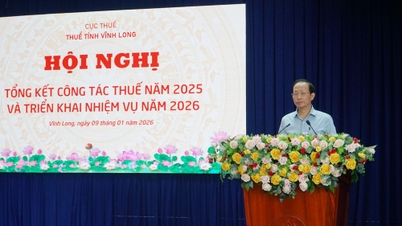 Skatteinntekter i Vinh Long-provinsen: innenlandske inntekter forventes å vokse med 6,89 % i 2025.