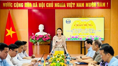 គណៈប្រតិភូត្រួតពិនិត្យកណ្តាលធ្វើការលើជំរឿនសេដ្ឋកិច្ចទូទៅនៅ Lam Dong។