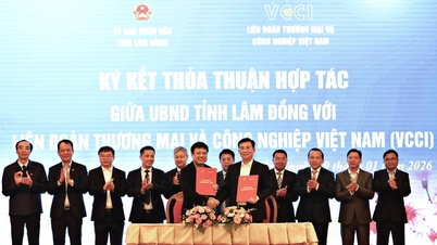 Provinsi Lam Dong menandatangani perjanjian kerja sama dengan VCCI di 4 bidang untuk periode 2026 - 2030.