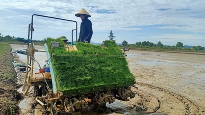 จังหวัดฮาติ๋งมีพื้นที่นาข้าวมากกว่า 150 เฮกตาร์ที่ลดการปล่อยก๊าซเรือนกระจกในฤเก็บเกี่ยวฤดูใบไม้ผลิปี 2026