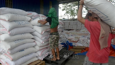 Les Philippines font leur retour sur le marché international du riz.