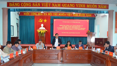 Der Leiter der Organisationsabteilung des Provinzparteikomitees, Mai Viet Trung, inspizierte die Wahlvorbereitungen in den Gemeinden Tuy Phuoc Dong, Tuy Phuoc Bac und Tuy Phuoc Tay.
