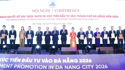 ទីក្រុងដាណាំងផ្តល់សេចក្តីសម្រេចវិនិយោគ និងកិច្ចព្រមព្រៀងសម្រាប់គម្រោងសំខាន់ៗចំនួន ៣៦។