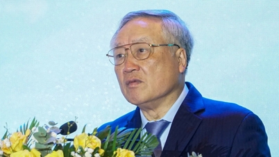 부총리: 다낭은 프로젝트 수에만 집착해서는 안 됩니다.