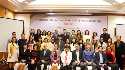 Un nuevo enfoque para mejorar el entorno alimentario y nutricional en Vietnam.