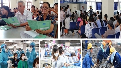 A Ho Si Minh-városi Társadalombiztosítási Ügynökség útmutatást ad a 2026. január 1-jétől hatályos biztosítási járulékkulcsokról.