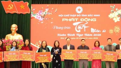 A Bac Ninh Tartományi Vöröskereszt Társaság konferenciát tartott, hogy összefoglalja 2025-ös munkáját, és felvázolja 2026-os terveit és feladatait.