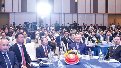 Da Nang is organizing the event "Meet Da Nang 2026".