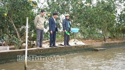 Xã Tân Tiến: 1.533 hội viên người cao tuổi đạt tiêu chuẩn "Tuổi cao, gương sáng"