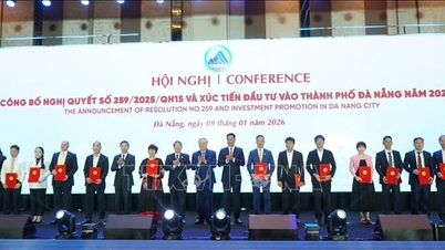 Da Nang continue d'innover dans ses méthodes de promotion des investissements en se concentrant sur des domaines clés.