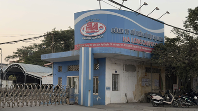 Highlands Coffee nói gì về nghi vấn dùng sản phẩm của Đồ hộp Hạ Long?