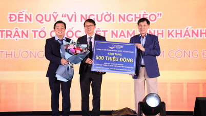 La Sociedad Anónima del Aeropuerto Internacional de Cam Ranh resume su trabajo para 2025.