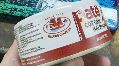 Trước khi xảy ra vụ heo bệnh ít tháng: Cổ đông ngoại rút khỏi Đồ hộp Hạ Long, chủ tịch mới nắm quyền