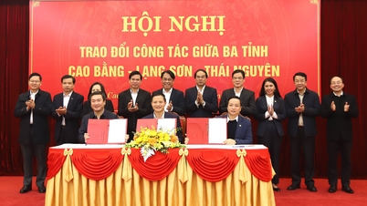 Konferensi pertukaran kerja antara tiga provinsi Cao Bang, Lang Son, dan Thai Nguyen.