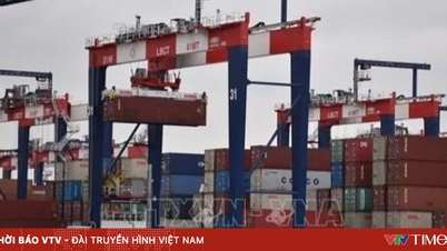 संयुक्त राष्ट्र ने वैश्विक आर्थिक विकास दर 2.7% रहने का अनुमान लगाया है।
