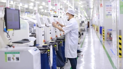 Domestic businesses connect to FDI supply chains.