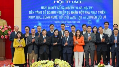 Resolutions 57 and 68: A pair of policies creating breakthrough space for the private economy in the digital age.
