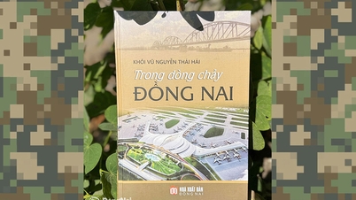 동나이는 역사, 문화, 그리고 통합의 흐름 속에 있습니다.