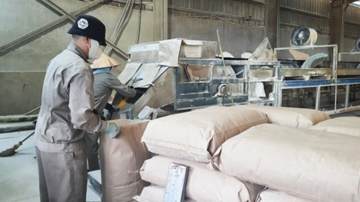 Creating favorable conditions for the development of the private economy.