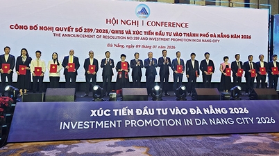 Da Nang: 16 bedrijven registreren zich om bijna 38.000 miljard VND te investeren.