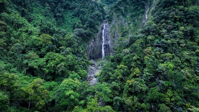 Bewundern Sie den majestätischen Wasserfall, der inmitten der Wälder von Quang Ngai verborgen liegt.
