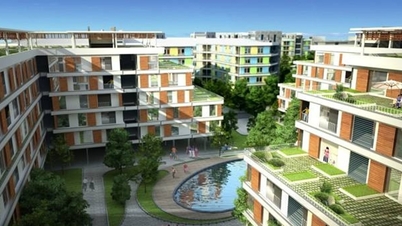 Desarrollo de vivienda social para alquiler: una solución sostenible para el bienestar social y el uso del suelo.