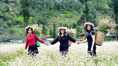 ฤดูใบไม้ผลิที่ตื่นขึ้น