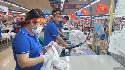 Perniagaan pakaian Hai Phong sedang giat beralih kepada amalan hijau.