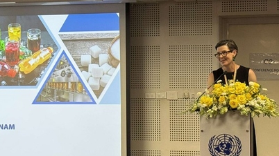WHO는 베트남 공중보건 분야의 눈부신 발전을 인정합니다.