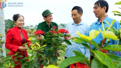 เรามาร่วมมือกันสร้างเขตเมืองที่เจริญแล้วในจังหวัดบิ่ญลุกฮา