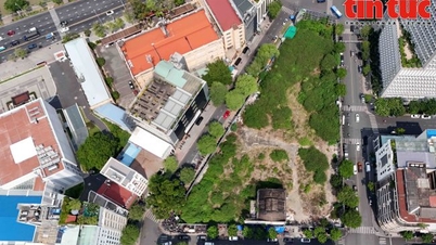 Propuestas para construir parques y jardines en terrenos privilegiados para el Tet (Año Nuevo Lunar)