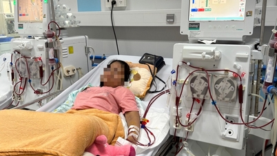 Bei einer späten Diagnose einer chronischen Nierenerkrankung werden viele Kinder auf Dialysegeräte angewiesen.