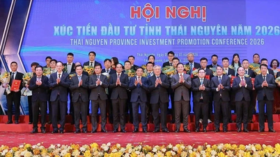 Başbakan Yardımcısı: Thai Nguyen şu anda 3 stratejik avantaja sahip.