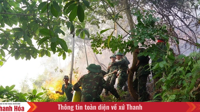 Los incendios forestales en el distrito de Quang Trung se extinguieron rápidamente.